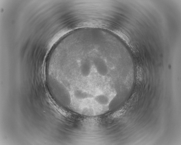 X0000086921078200705071322