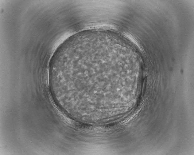 X0000086921079200705071322