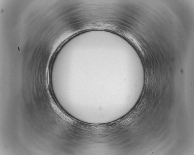 X0000086921080200705071322