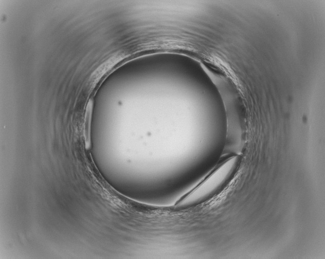 X0000086921081200705071322