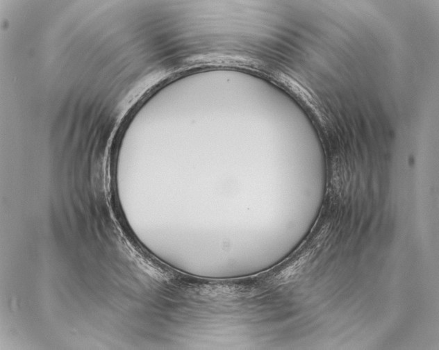 X0000086921082200705071322