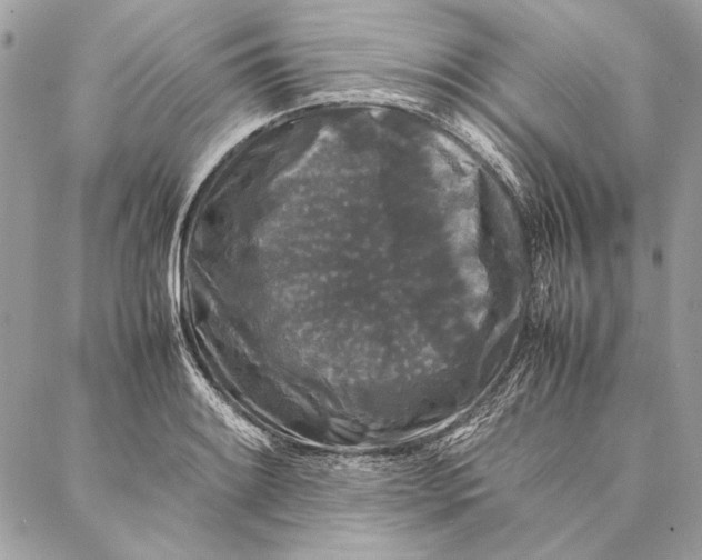 X0000086921084200705071322