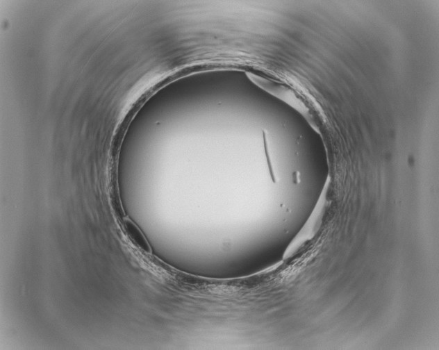 X0000086921085200705071322