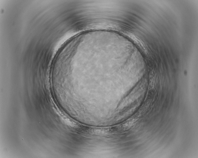 X0000086921086200705071322