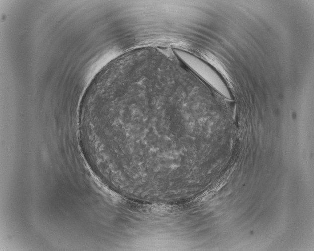 X0000086921087200705071322