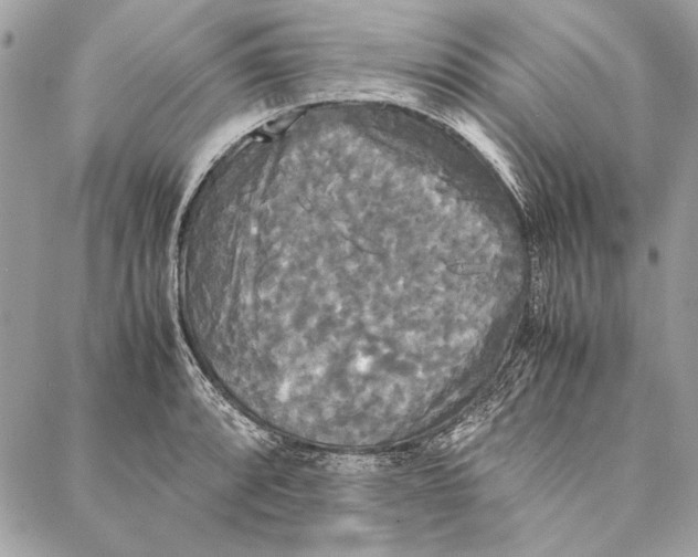 X0000086921088200705071322