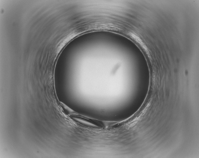 X0000086921089200705071322