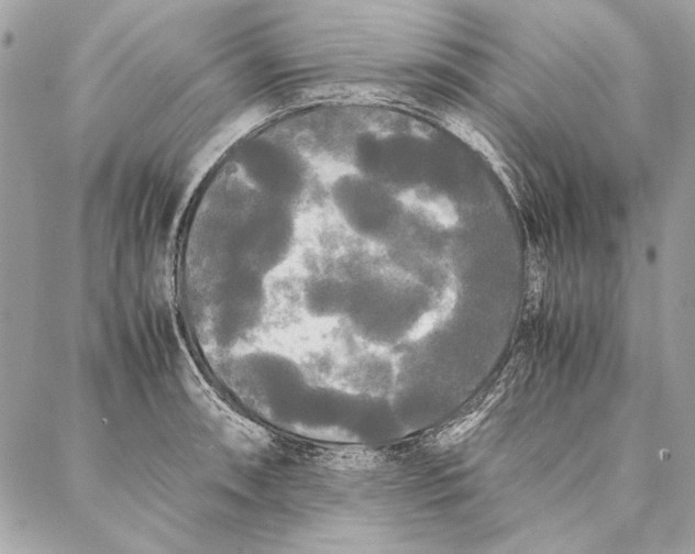 X0000086921090200705071322