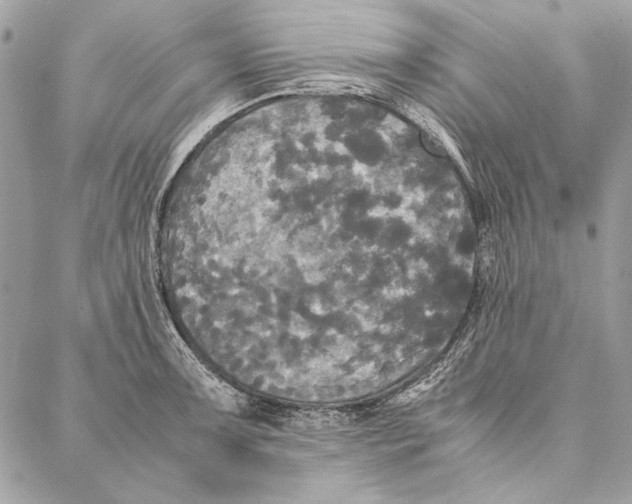 X0000086921091200705071322