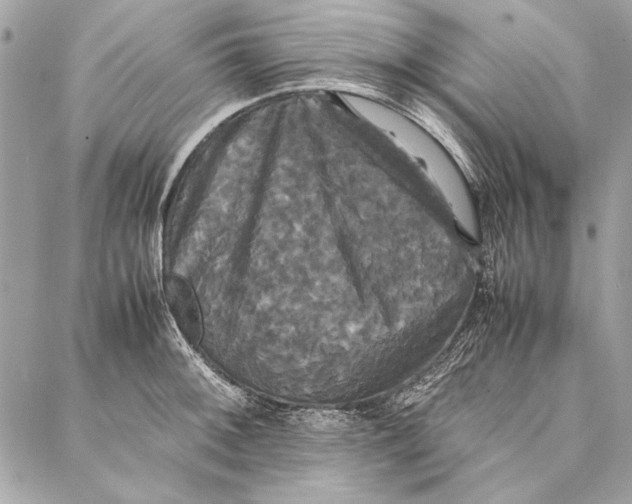 X0000086921092200705071322