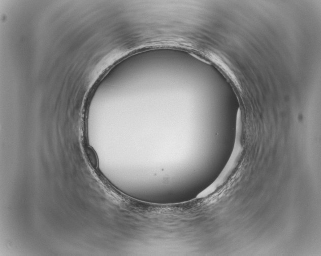 X0000086921093200705071322