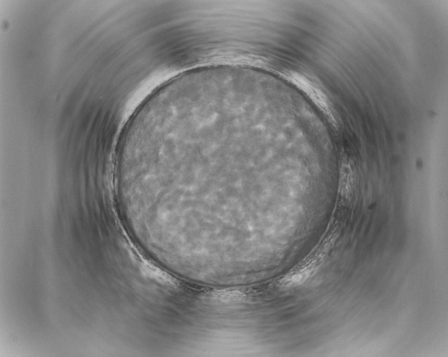 X0000086921094200705071322