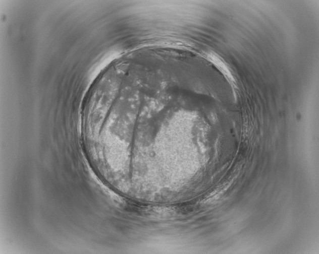 X0000086921095200705071322