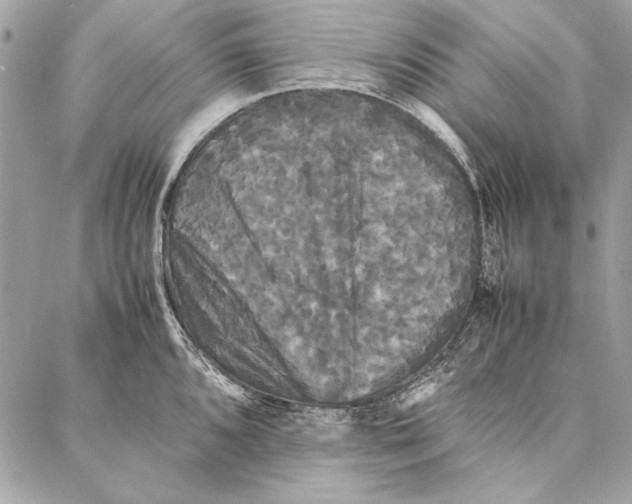 X0000086921096200705071322