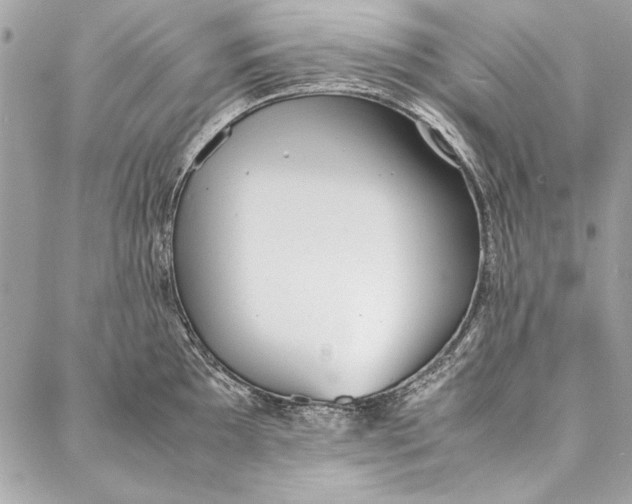 X0000086921097200705071322