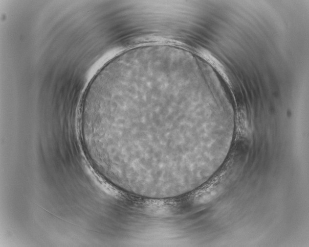 X0000086921098200705071322