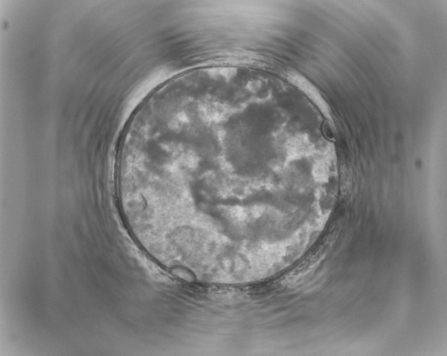 X0000086921099200705071322