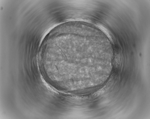 X0000086921100200705071322