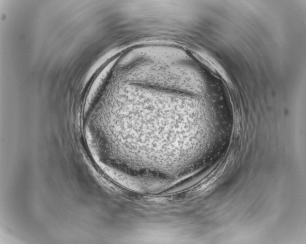 X0000086921101200705071322