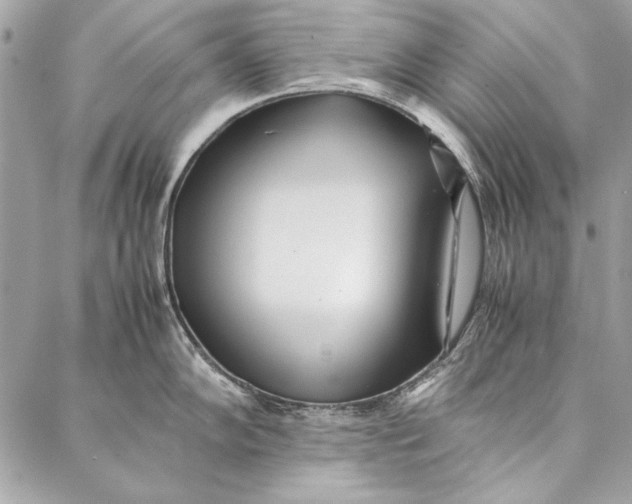 X0000086921102200705071322