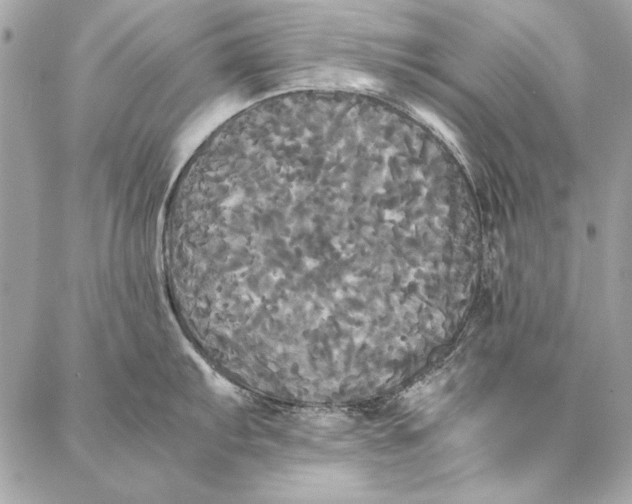 X0000086921103200705071322