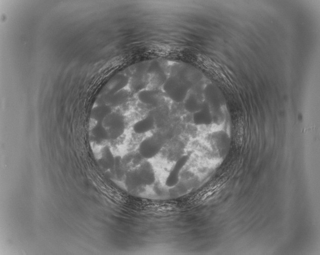 X0000086921105200705071321