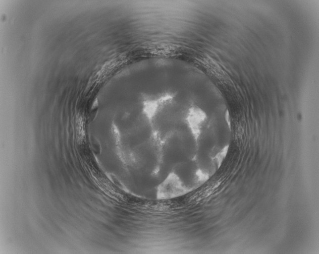 X0000086921106200705071321