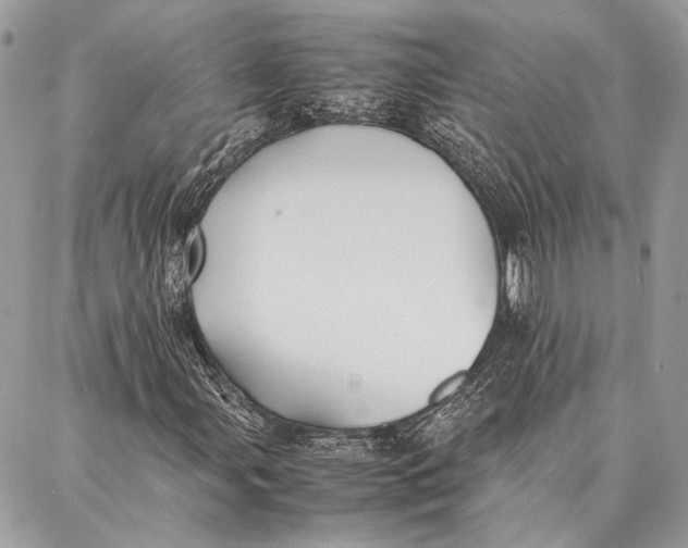 X0000086921107200705071321