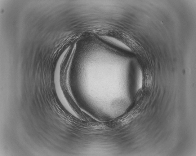 X0000086921108200705071321