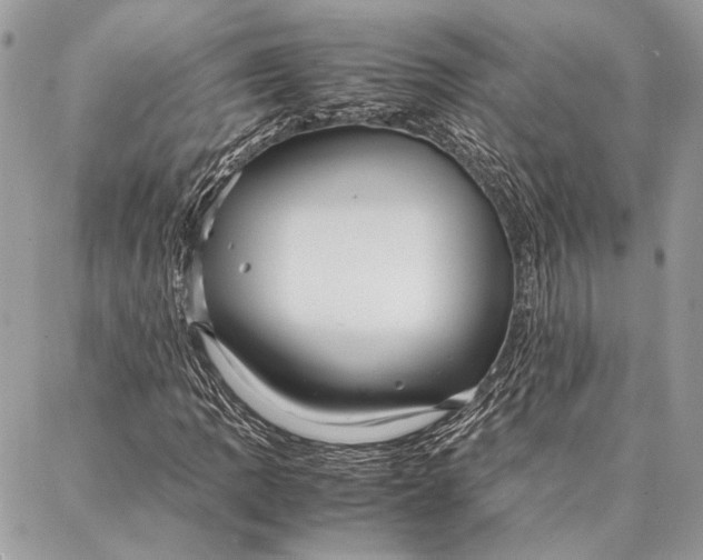 X0000086921109200705071321