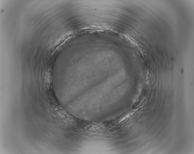 X0000086921110200705071321