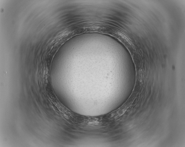 X0000086921111200705071321