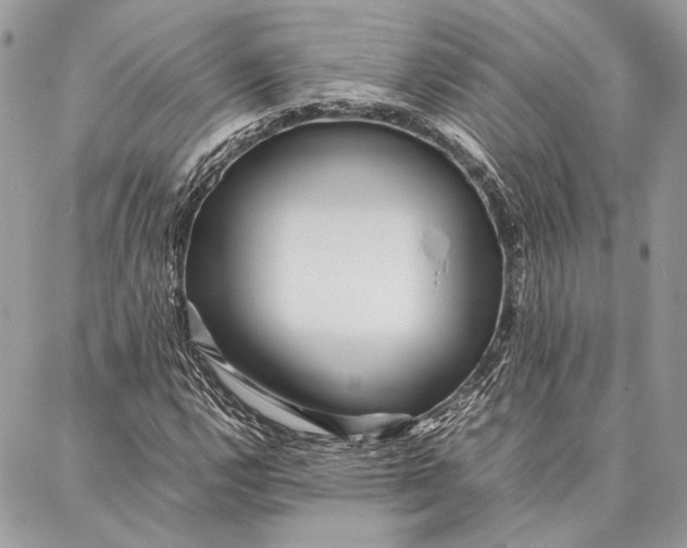 X0000086921112200705071321