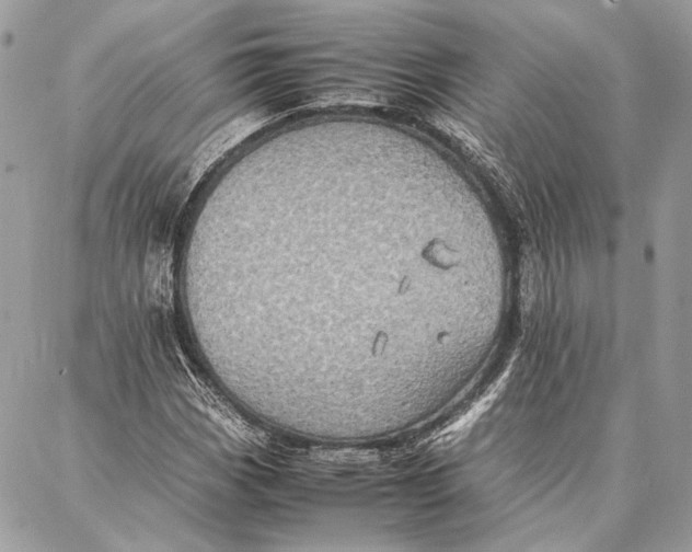 X0000086921113200705071321