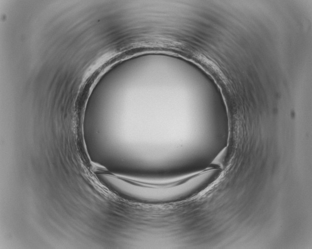 X0000086921114200705071321