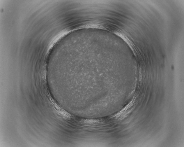 X0000086921115200705071321