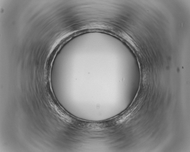 X0000086921116200705071321