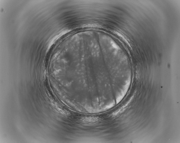 X0000086921117200705071321