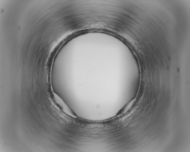 X0000086921118200705071321