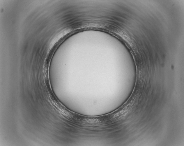 X0000086921119200705071321