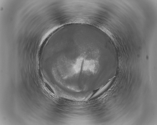 X0000086921120200705071321