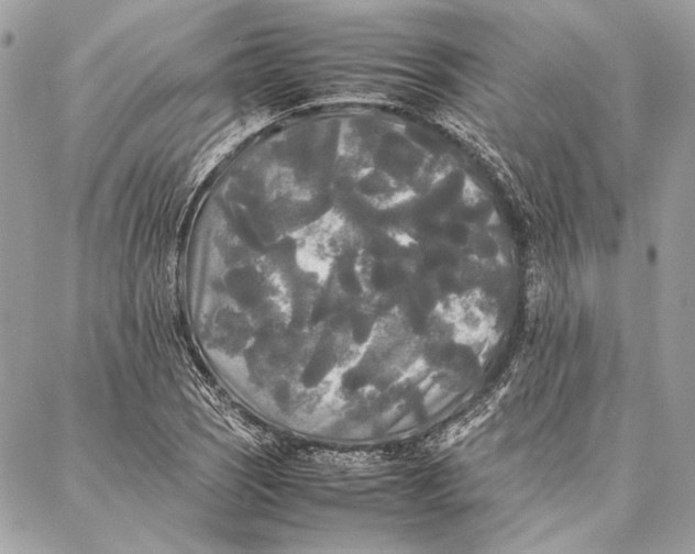 X0000086921121200705071321