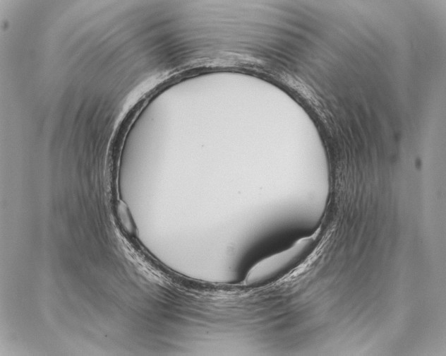 X0000086921122200705071321