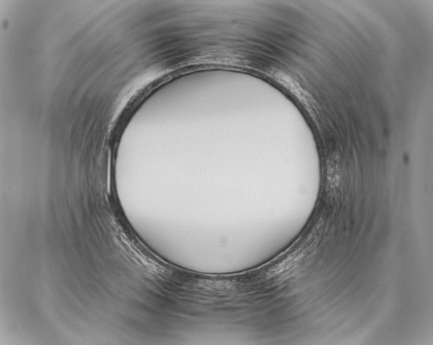 X0000086921123200705071321