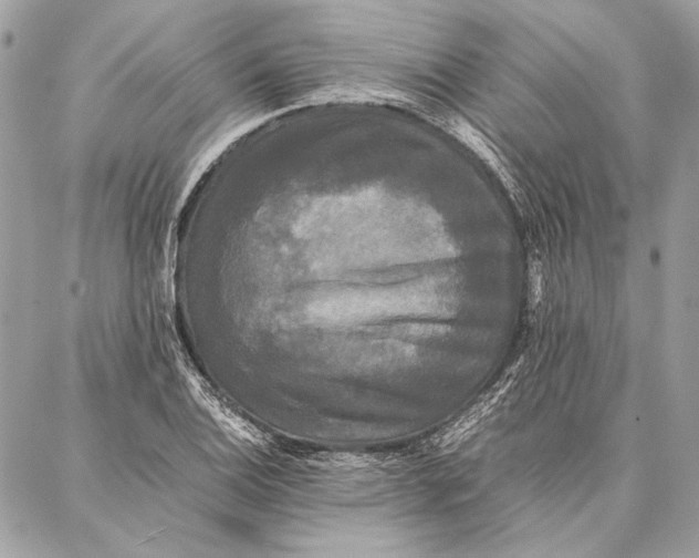 X0000086921124200705071321