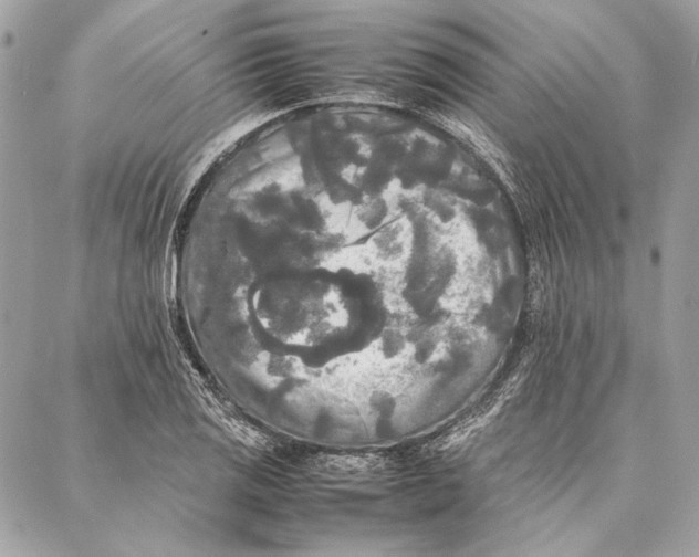 X0000086921125200705071321