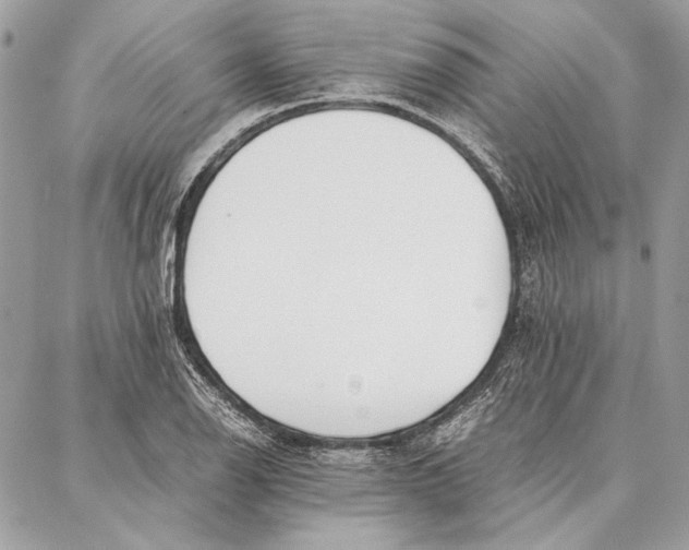 X0000086921126200705071321