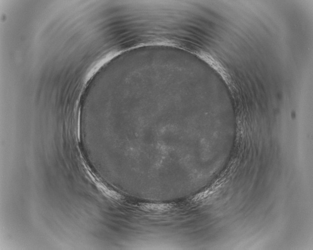 X0000086921127200705071321