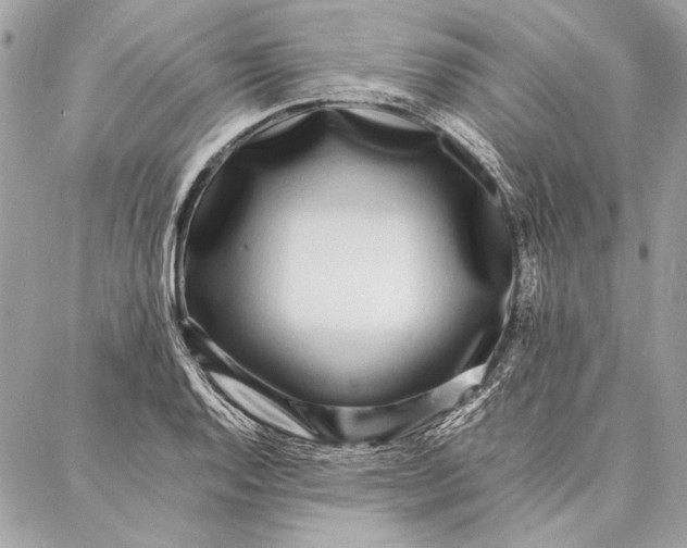 X0000086921128200705071321