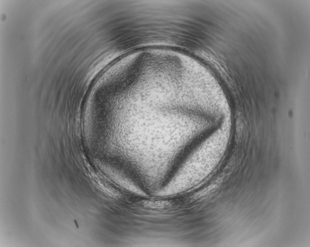 X0000086921129200705071321